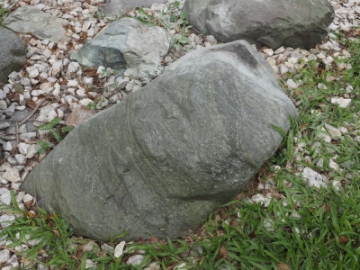 角閃岩（含白雲母）